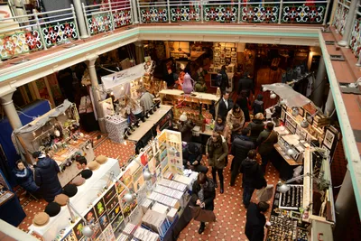 DSC_1388 (Large).JPG